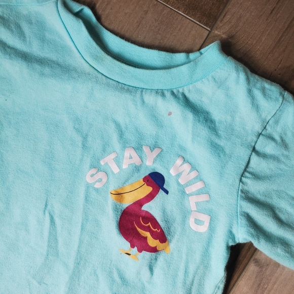 Alex & Jack and Garanimals Size 4T Boys Short Sleeve Casual T-Shirt Bundle GUC - Picture 7 of 15